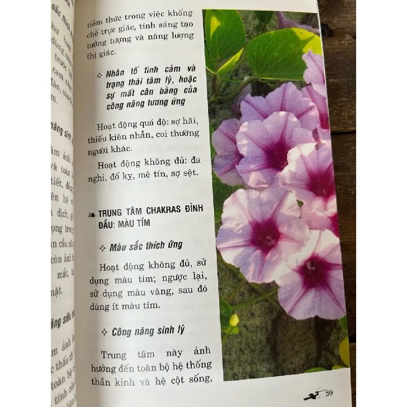 Chữa bệnh bằng màu sắc - Ted Andrews 693129