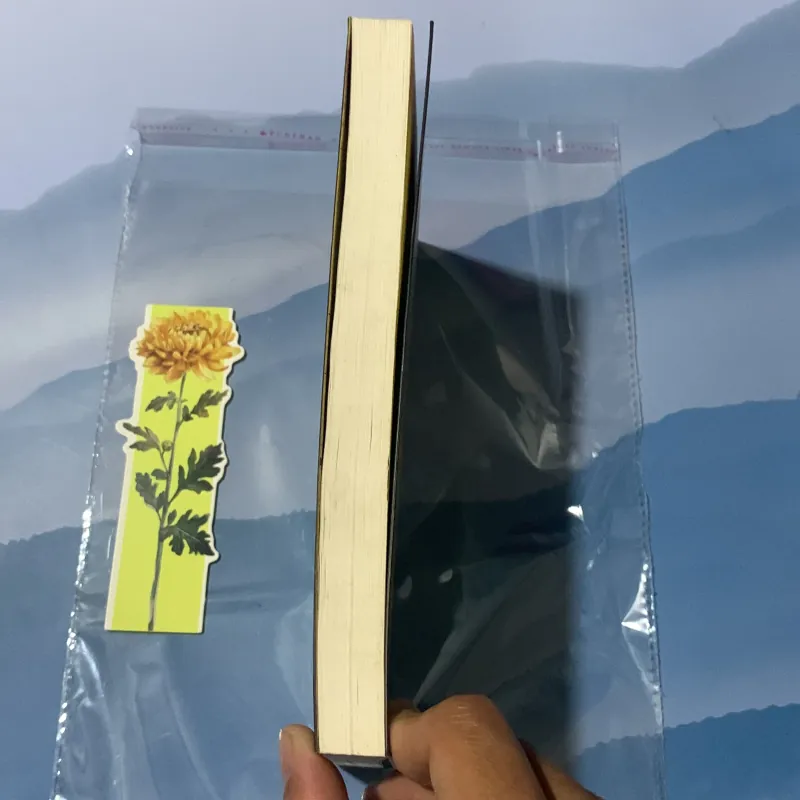 Khách lạ và người lái taxi - Dili 970200