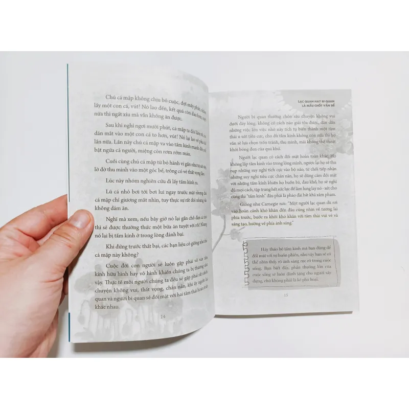 Đá Cuội Hay Kim Cương - Cùng Dale Carnegie Tiến Tới Thành Công 791175