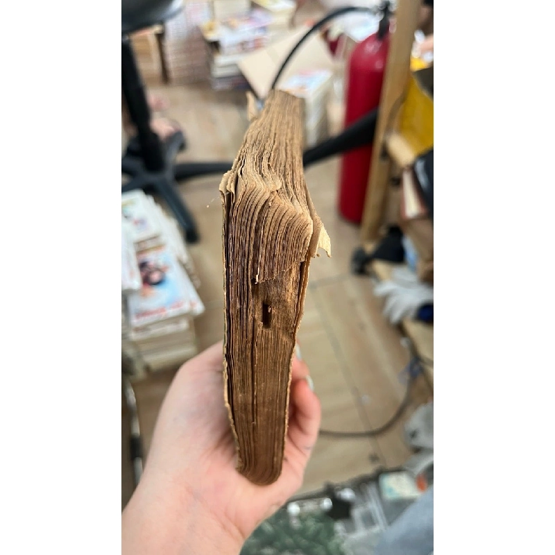 Từ triều đình huế đến chiến khu việt bắc - Phạm Khắc Hoè 137437