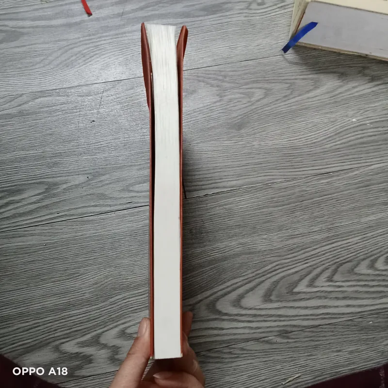 Mối Chúa - Đãng Khấu  733809