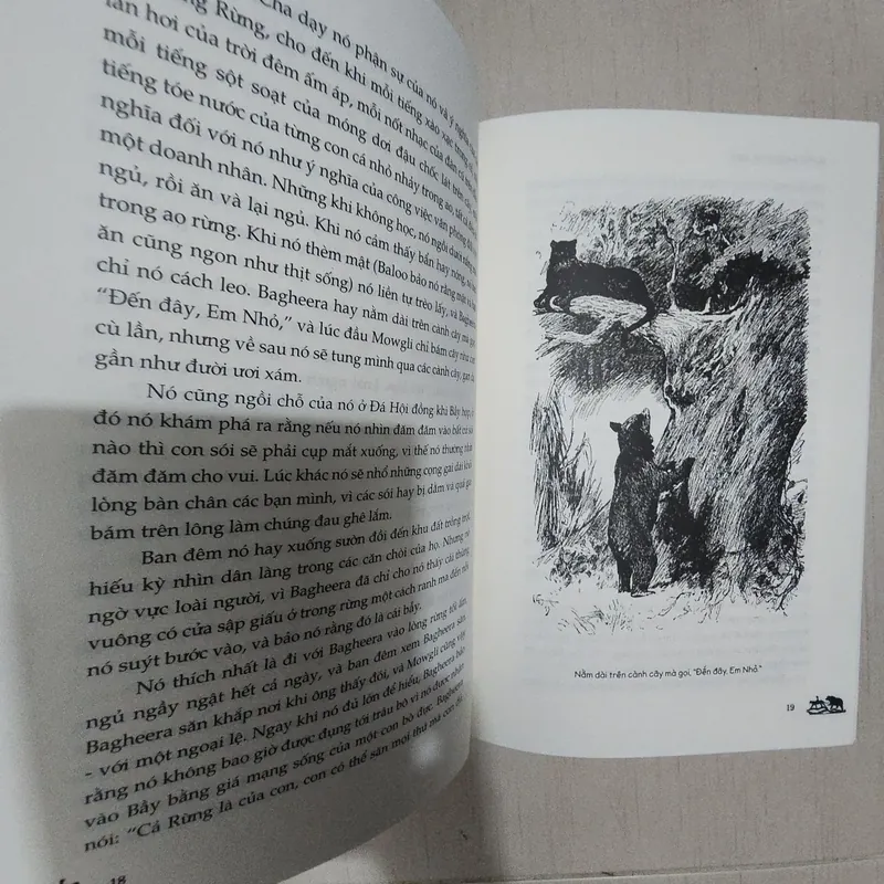 Sách Chuyện rừng xanh 715547