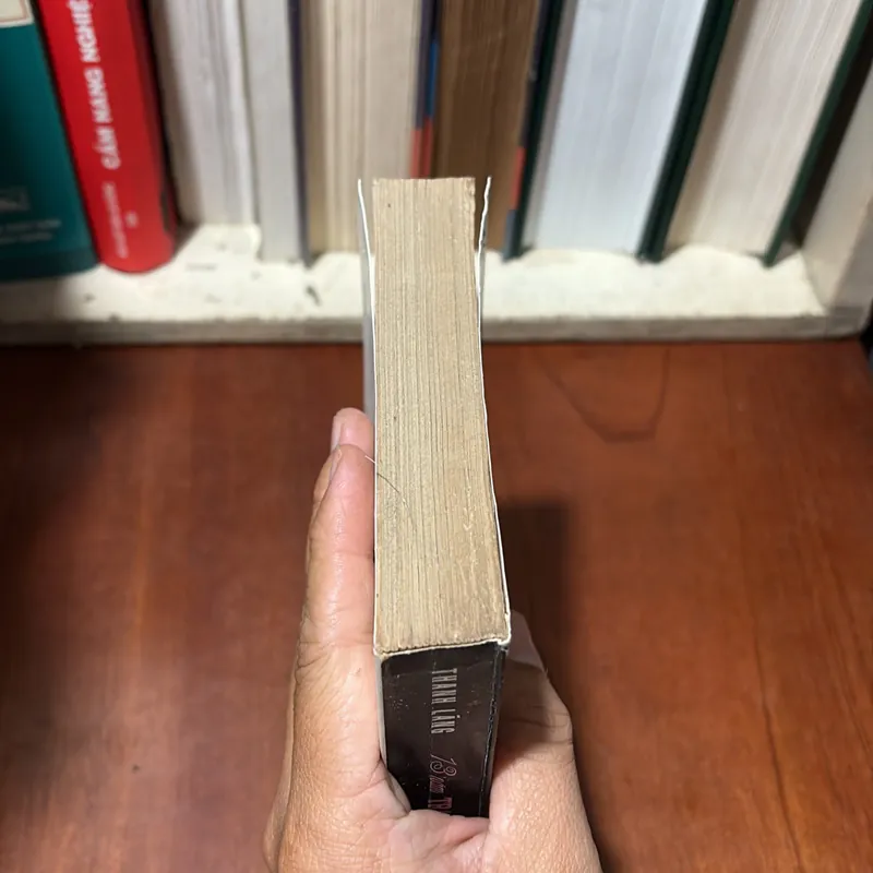 II Văn Học: 13 Năm Tranh Luận Văn Học (Tập 1) - Thanh Lãng - 1995 720597