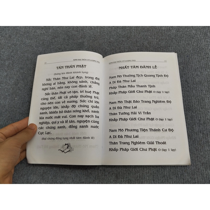 PHẬT THUYẾT ĐẠI THỪA VÔ LƯỢNG THỌ TRANG NGHIÊM THANH TỊNH BÌNH ĐẲNG GIÁC KINH 494697