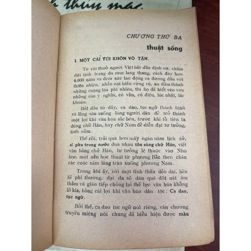 Trở về nguồn cội hoa đồng cỏ nội - Minh Hương 703325