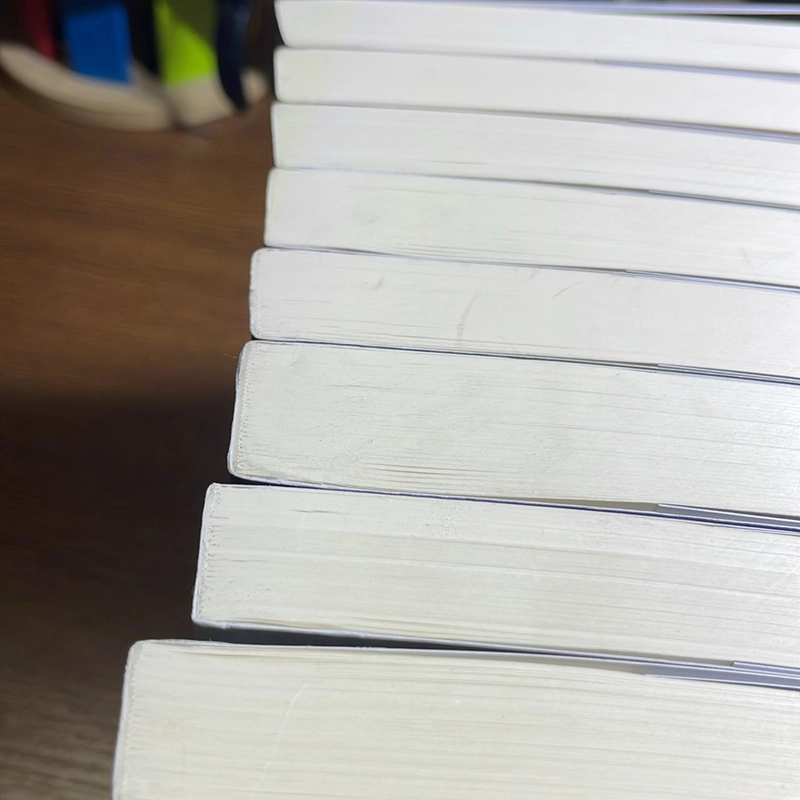 Full bộ 8 quyển Anne tóc đỏ L.M Montgomery 475921