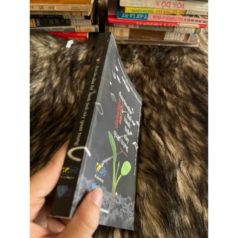 Đư tin như thể hành tinh bày quang trọng  594646