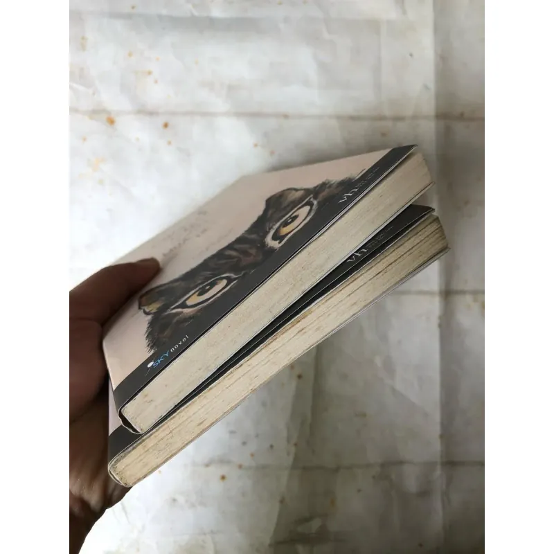 Cuộc Gặp Gỡ Mùa Hè - Takashi Hiraide 763070