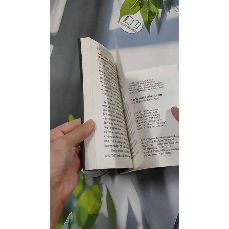 Việc Lớn Nhất Đời Người - Cư Sĩ Diệu Âm Diệu Ngộ 776134