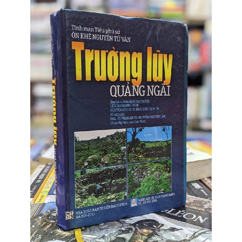 Trường luỹ Quảng Ngãi - Ôn Khê Nguyễn Tử Vân 122796