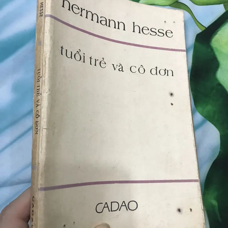 Tuổi trẻ và cô đơn - Hermann Hesse 591252
