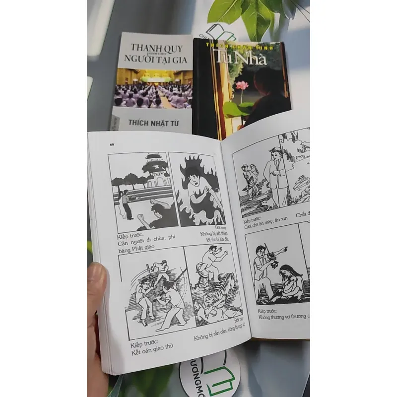 Combo: Tu Nhà, Thanh Quy Dành Cho Người Tại Gia, Kinh Nhân Quả Ba Đời, Kinh A Di Đà Nghĩa - Thích Chân Tính 776173