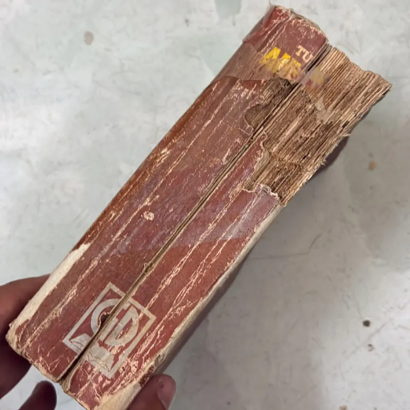Từ điển Anh Việt 1038395