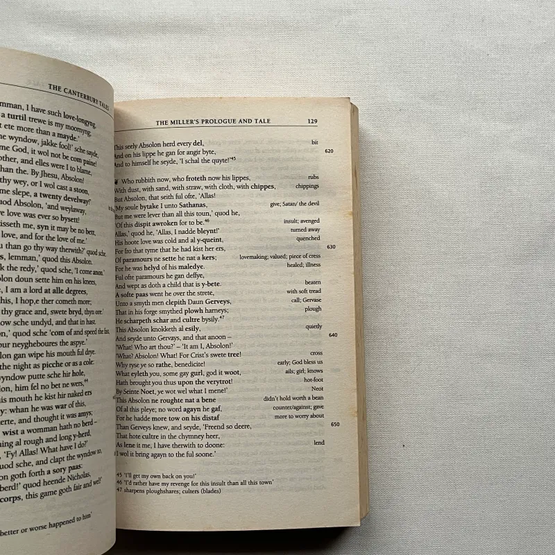 The Canterbury Tales - Geoffrey Chaucer 960707