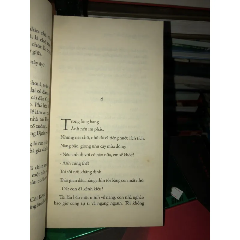 Vào cõi - Nguyễn Bình Phương  1018611