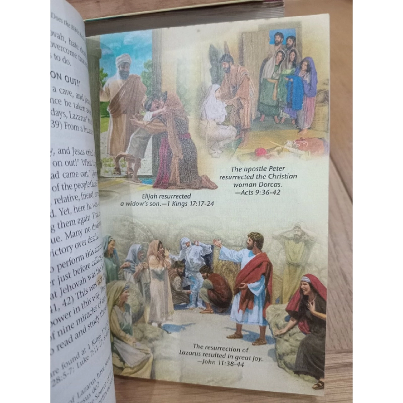 What does the bible really teach? 537906