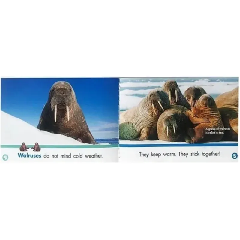 Lets find out level 1+2 (Sách nhập) - Mỗi level 24 quyển + File Mp3 759596