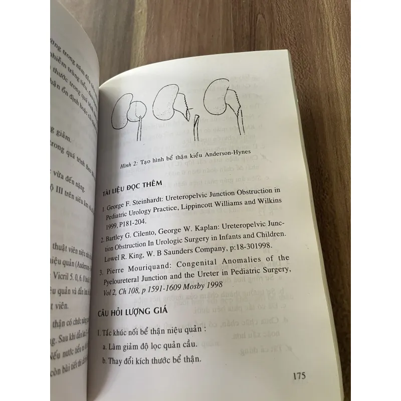 Bệnh học và điều trị ngoại khoa - khoa nhi  795861