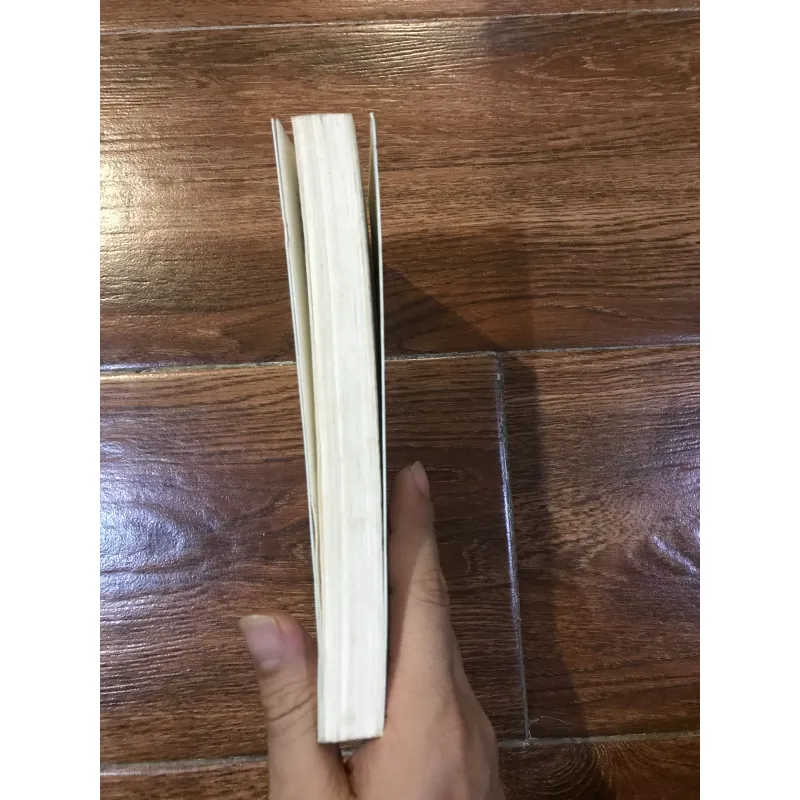 Alex - Pierre Lemaitre (6) 1002191