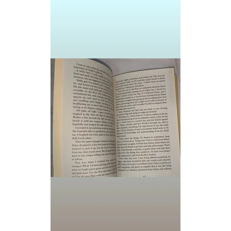 Ngoại văn cũ – Beyond Grey (Ella Cook) | Bìa mềm 748481