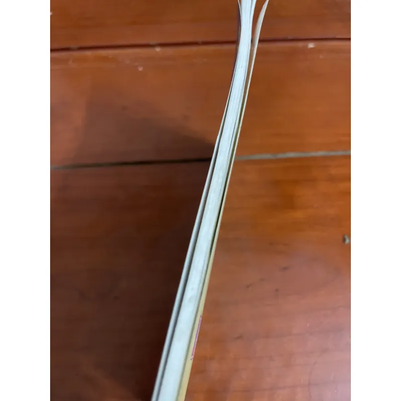 Cách nuôi mèo  1005189