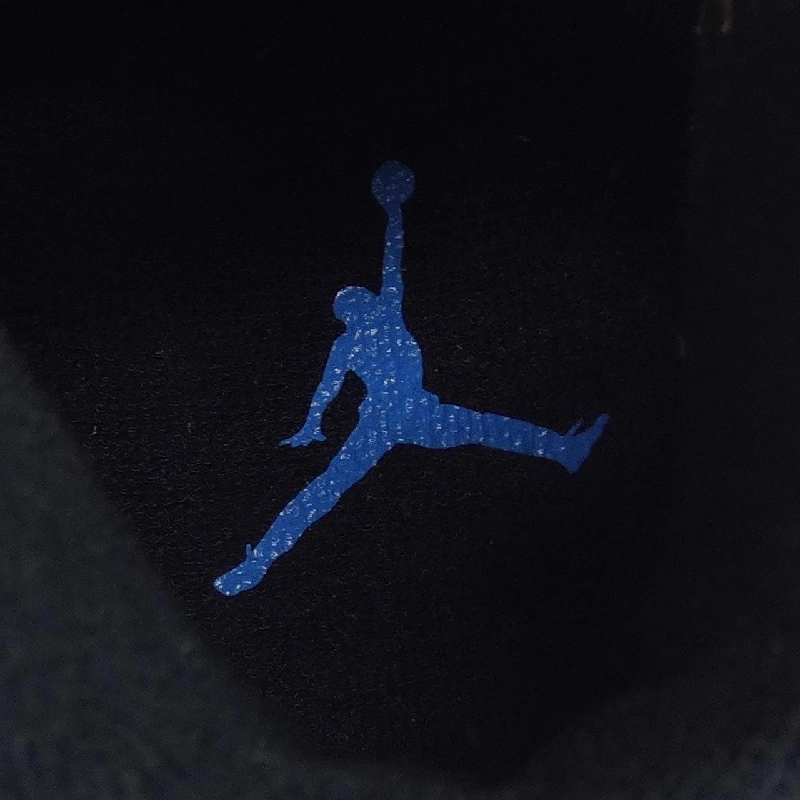 Giày thể thao NIKE JORDAN 384664-006 - Hàng hiệu Authentic 905400