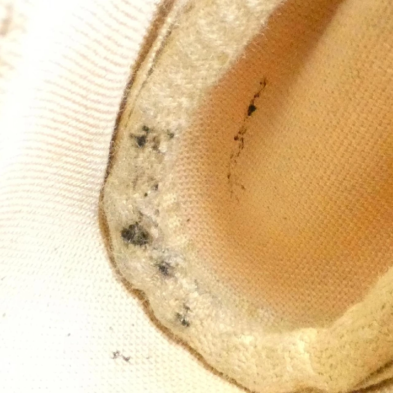 Túi xách vai Louis Vuitton Damier Azur Favorite PM N41277 613687