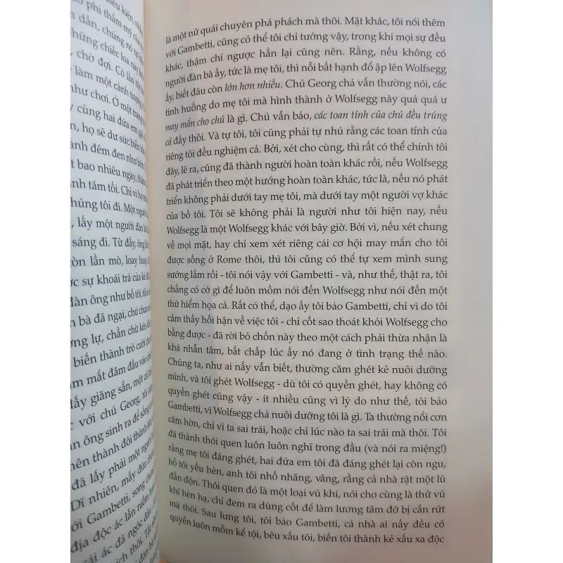 DIỆT VONG - THOMAS BERNHARD (HOÀNG ĐĂNG LÃNH DỊCH) 1005893