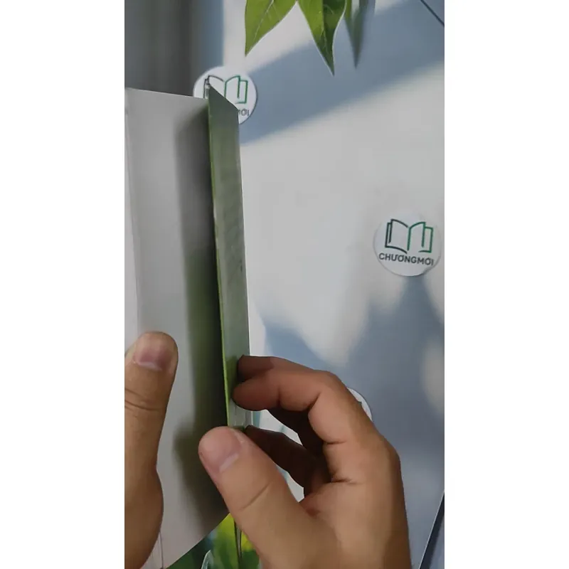 Nước mắt ngày gặp mặt - Nguyễn Văn Tàu 798366