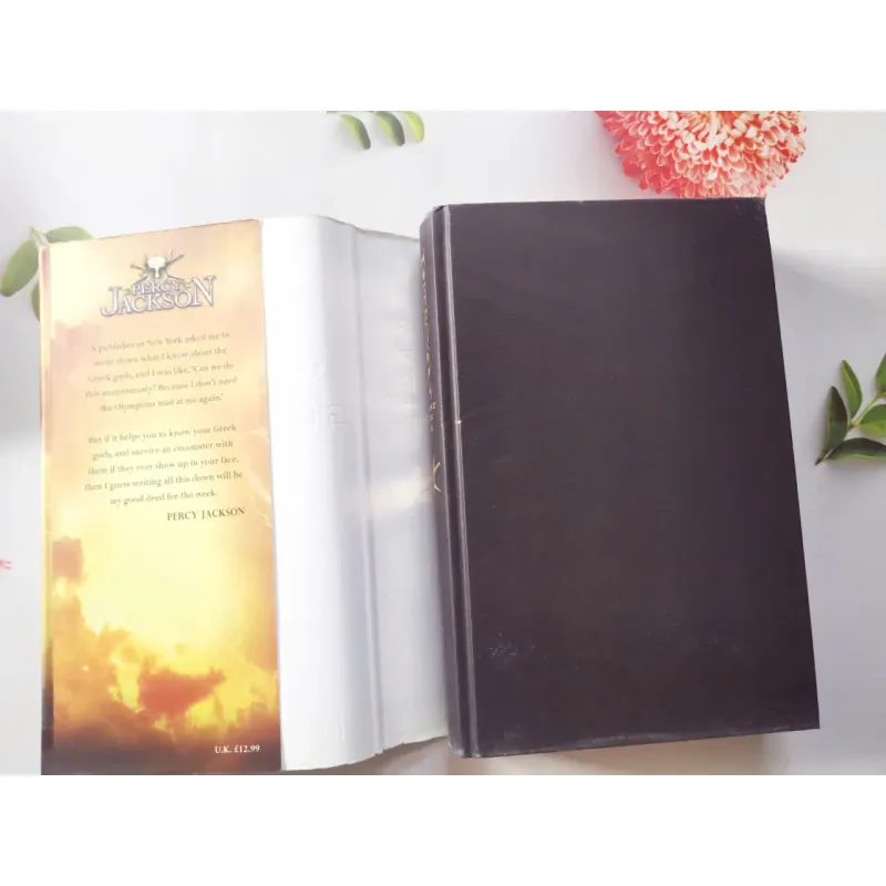 Percy Jackson and the Greek Gods 934761