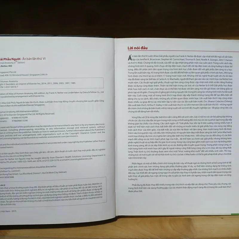 Atlas Giải Phẫu Người (Ấn Bản Lần Thứ 6) - Frank H. Netter, MD 570689