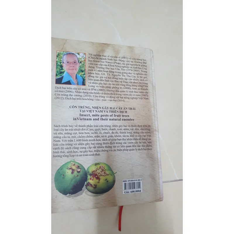 CÔN TRÙNG NHỆN GÂY HẠI CÂY ĂN TRÁI....  799628
