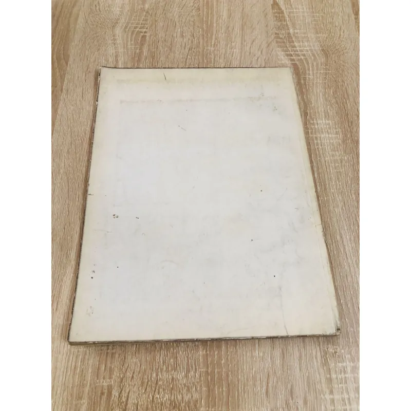 Master of World Painting – Auguste Renoir 993303