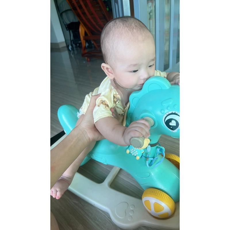 Ngựa Pony  520885