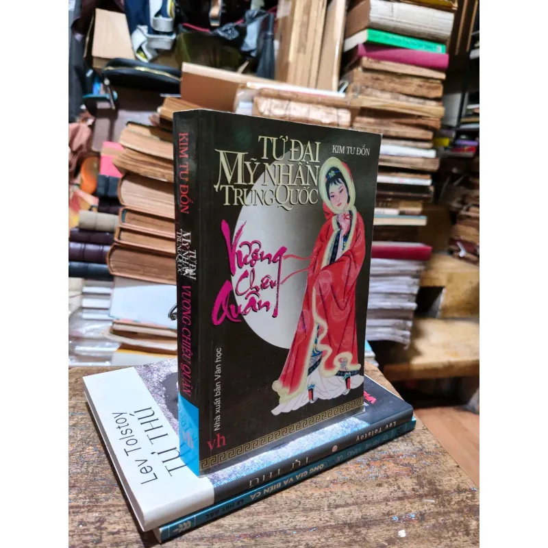 Vương Chiêu Quân ( Tứ đại mỹ nhân Trung Auoosc) 1020571