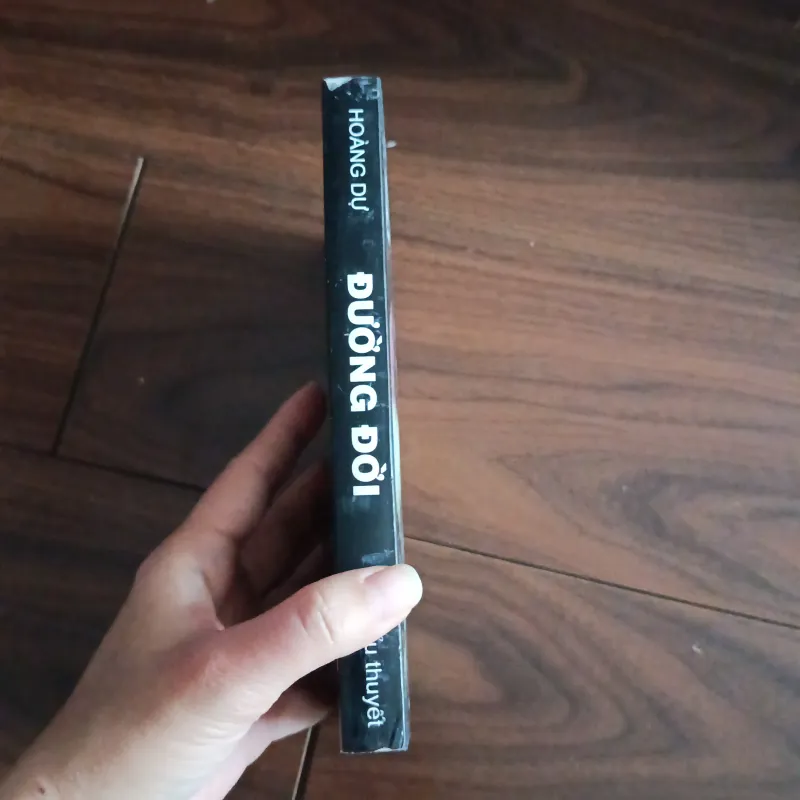 Đường đời - hoàng dự 761801