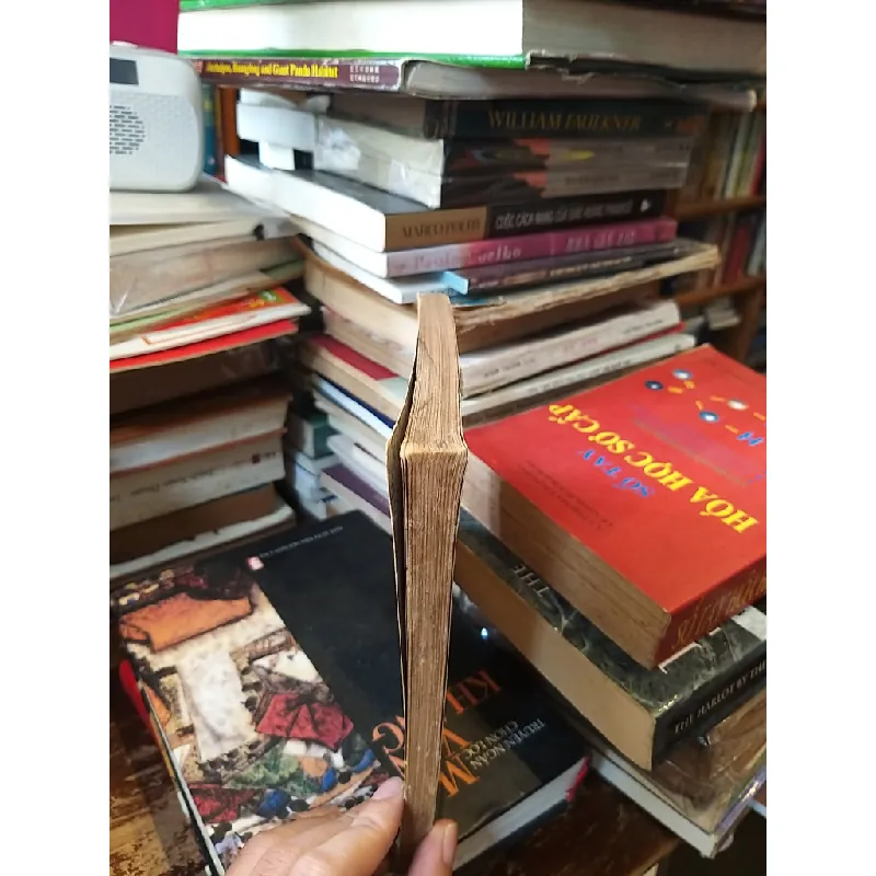 Voltaire - Rene Pomeau 605996