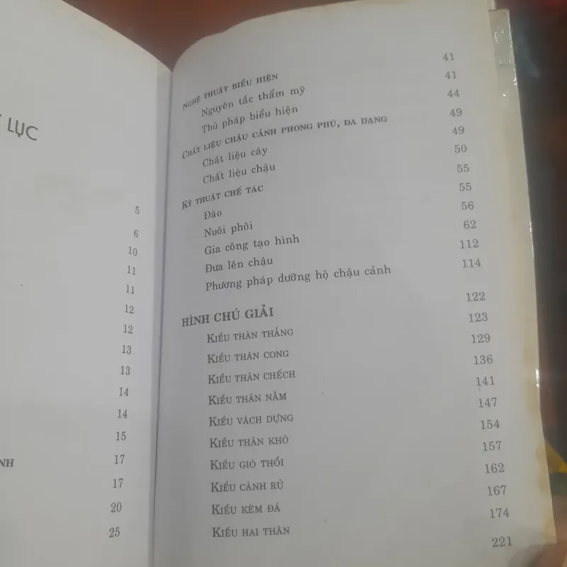 Nghệ thuật CHẾ TÁC CHẬU CẢNH 715538