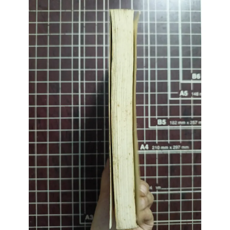 Nước Đại Nam đối diện với Pháp và Trung Hoa - Yoshiharu Tsuboi 731167