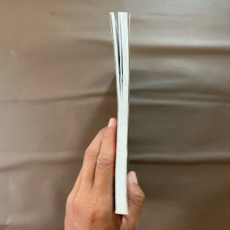 II Kinh Nghiệm Niệm Phật Và Những Chuyện Luân Hồi - Cư Sĩ: Diệu Âm Diệu Ngộ - 2012 495743