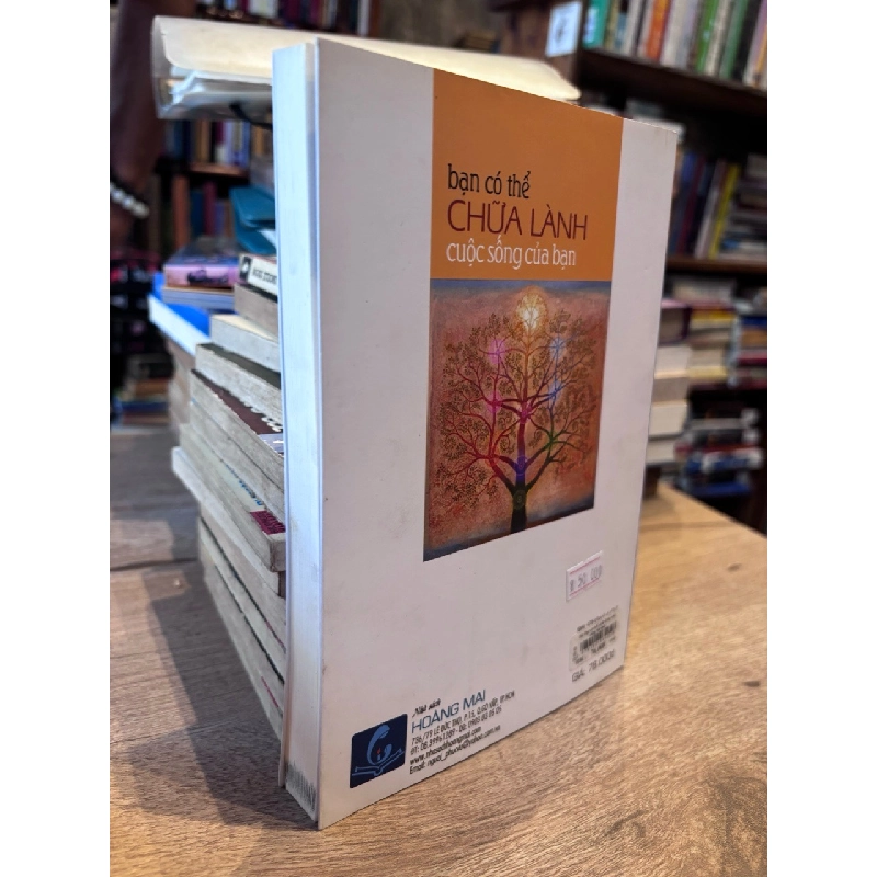 Bạn Có Thể Chữa Lành Cuộc Sống Của Bạn - Louise L. Hay 1011315