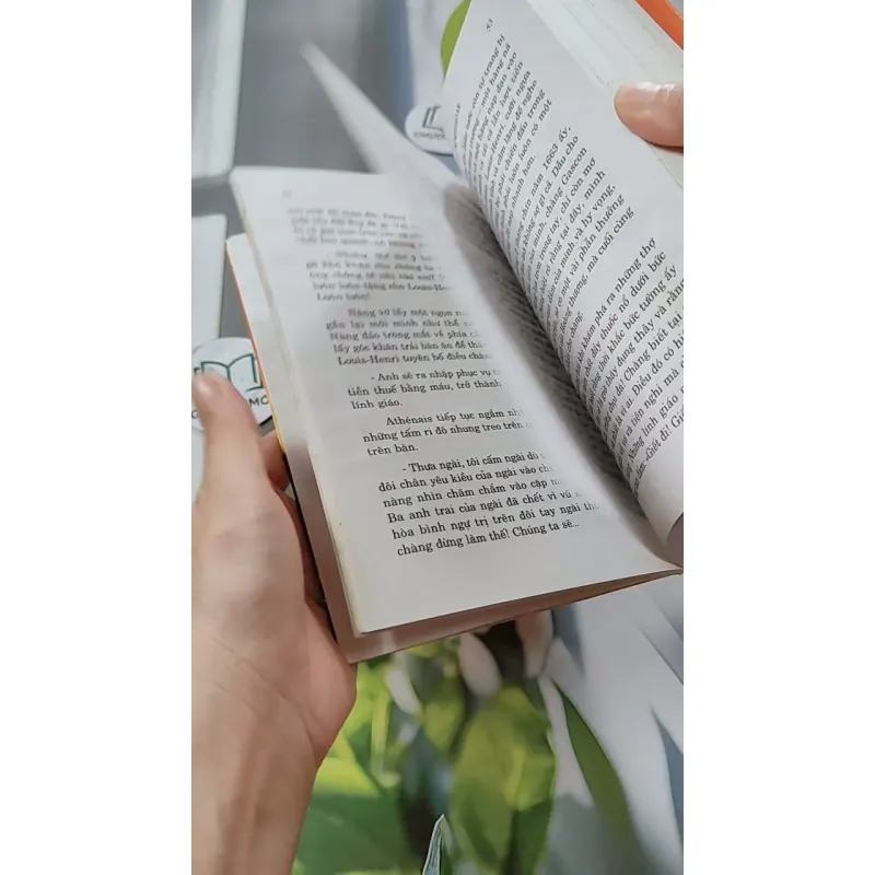 Chuyện Tình Của Hầu Tước Montespan - Jean Teulé 744673