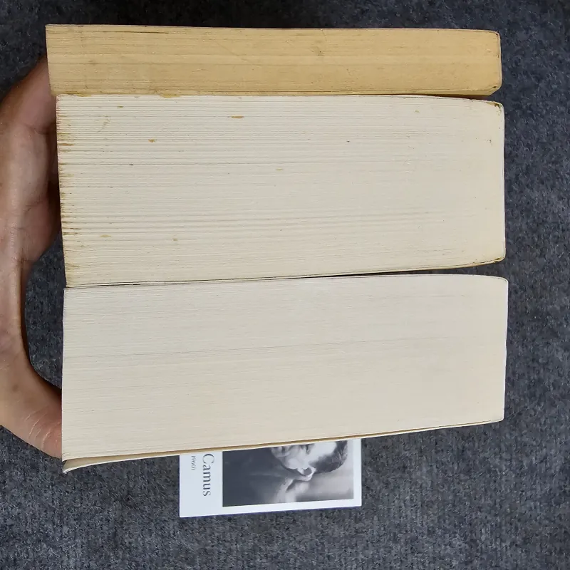 The Idiot - Evils - The gambler - Dostoevsky 1013405