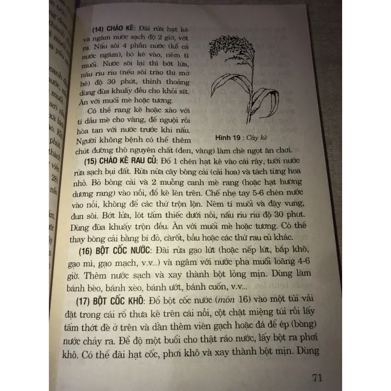 Phòng và trị bệnh theo phương pháp thực dưỡng Ohsawa 993723