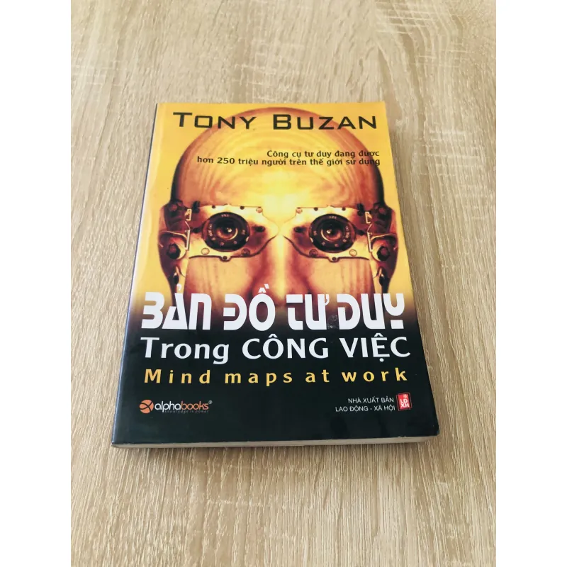 BẢN ĐỒ TƯ DUY TRONG CÔNG VIỆC  1004854