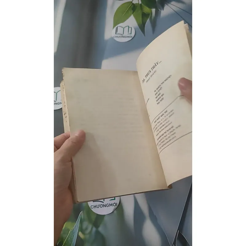 Dạ, Thưa Thầy - Phan Hoàng 928525