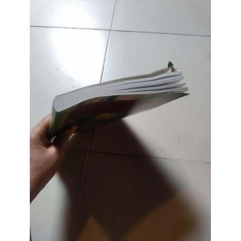 Kỹ thuật truyền thống sử dụng cây Tre trong truyền thống hiện đain 477132