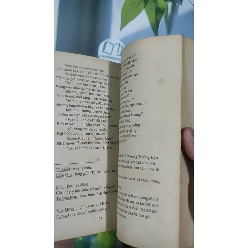 Truyện Kiều - Việt Chương chú giải - Nguyễn Du 798520