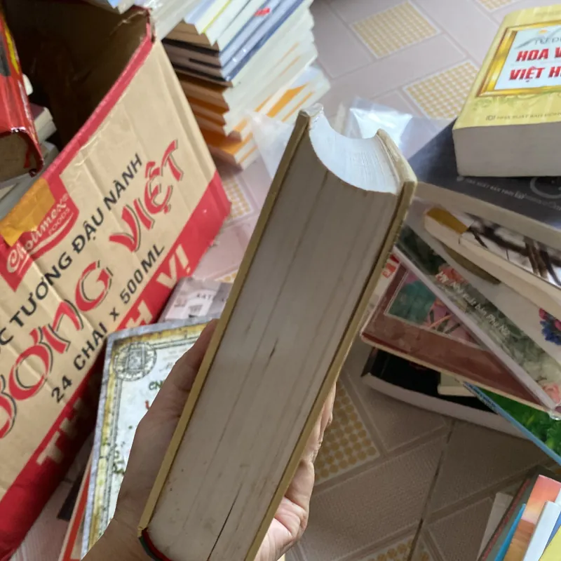 Tiếng chim hót trong bụi mận gai bìa cứng  755084