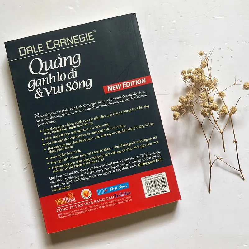 Quẳng gánh lo đi và vui sống - Dale Carnegie 568431